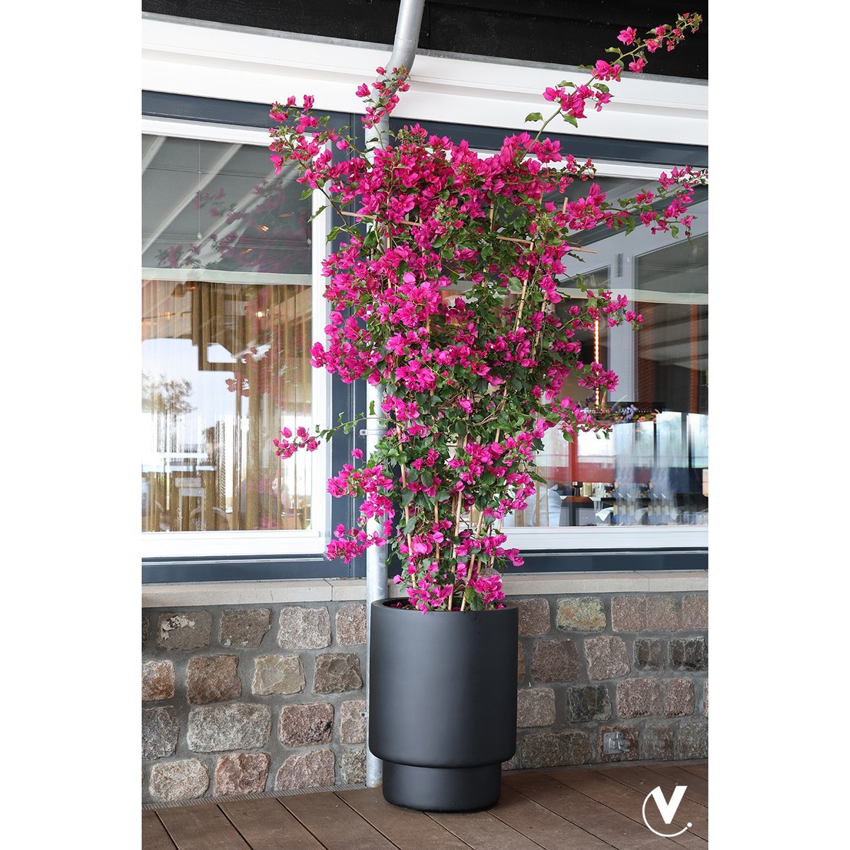 Plantenpot - Almstok big black