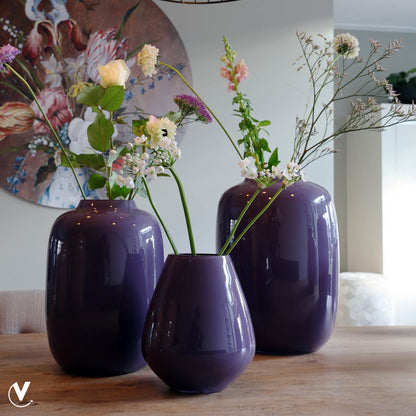 Vaas - Artic purple