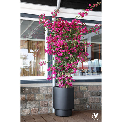 Plantenpot - Almstok big black