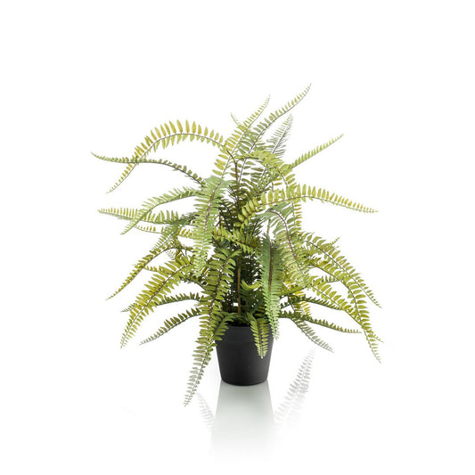 Kunstplant - Nephrolepis Exaltata - Bostonvaren - 70 cm