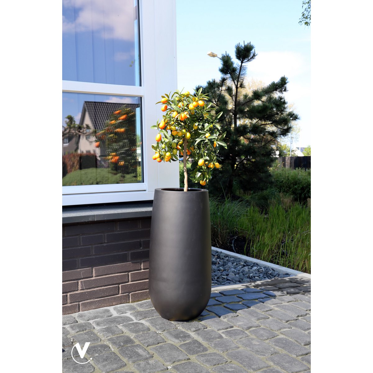 Plantenpot - Idaho black