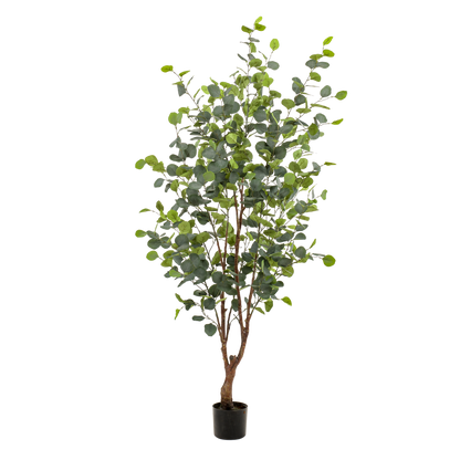 Kunstplant - Eucalyptus - Blauwe Gomboom  - 140 cm