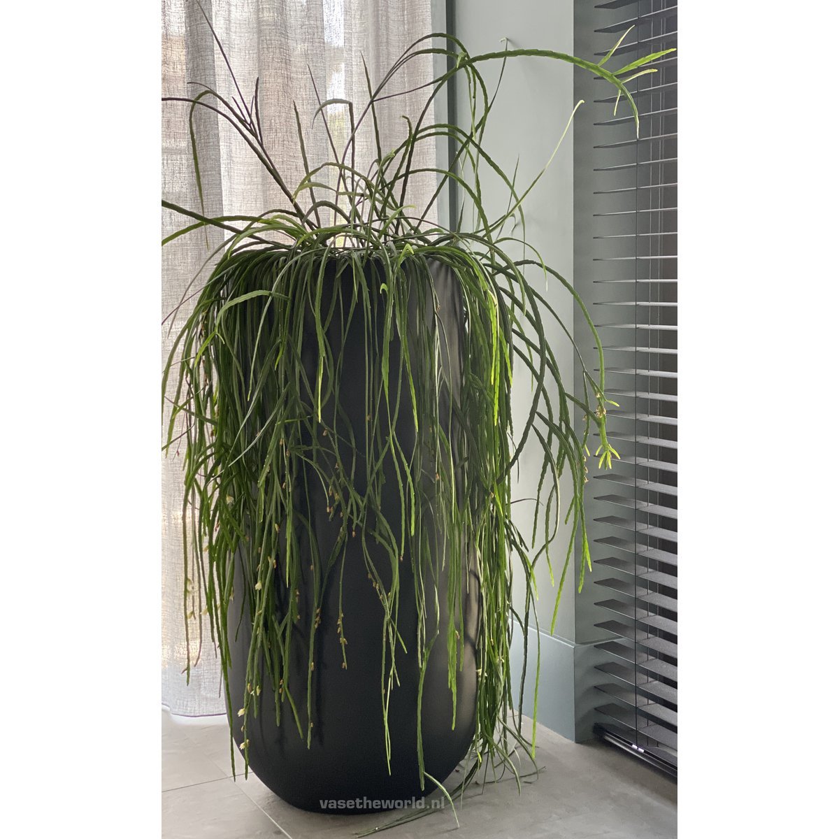 Plantenpot - Idaho black