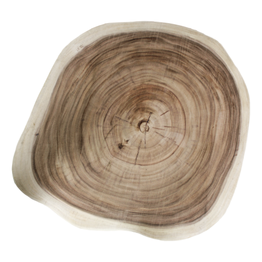 HSM Collection-Ronde Bijzettafel Boomschijf-ø40x40-Naturel-Munggur
